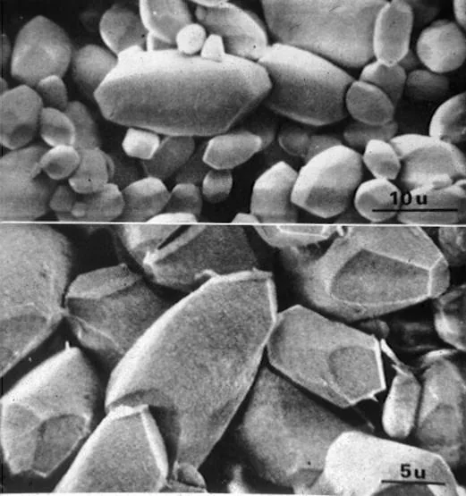 A close-up diagram of otoconia, tiny calcium carbonate crystals located within the utricle and saccule of the vestibular system.