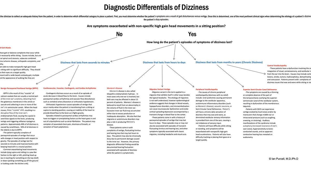 Dizziness: Exploring the Differential Diagnoses